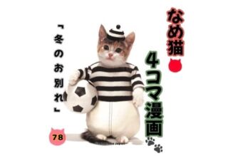 なめ猫 ～なめんなよ～ 公式サイト